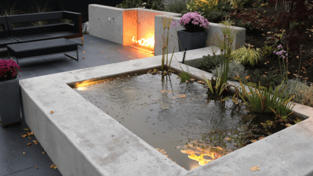 pond and fire